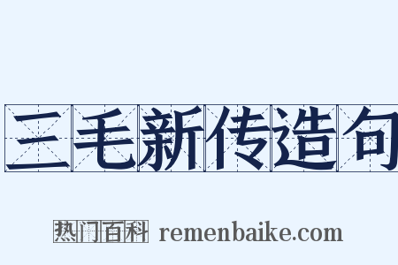 三毛新传造句是什么意思的图片